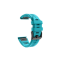 31_b1