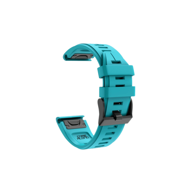 31_b1